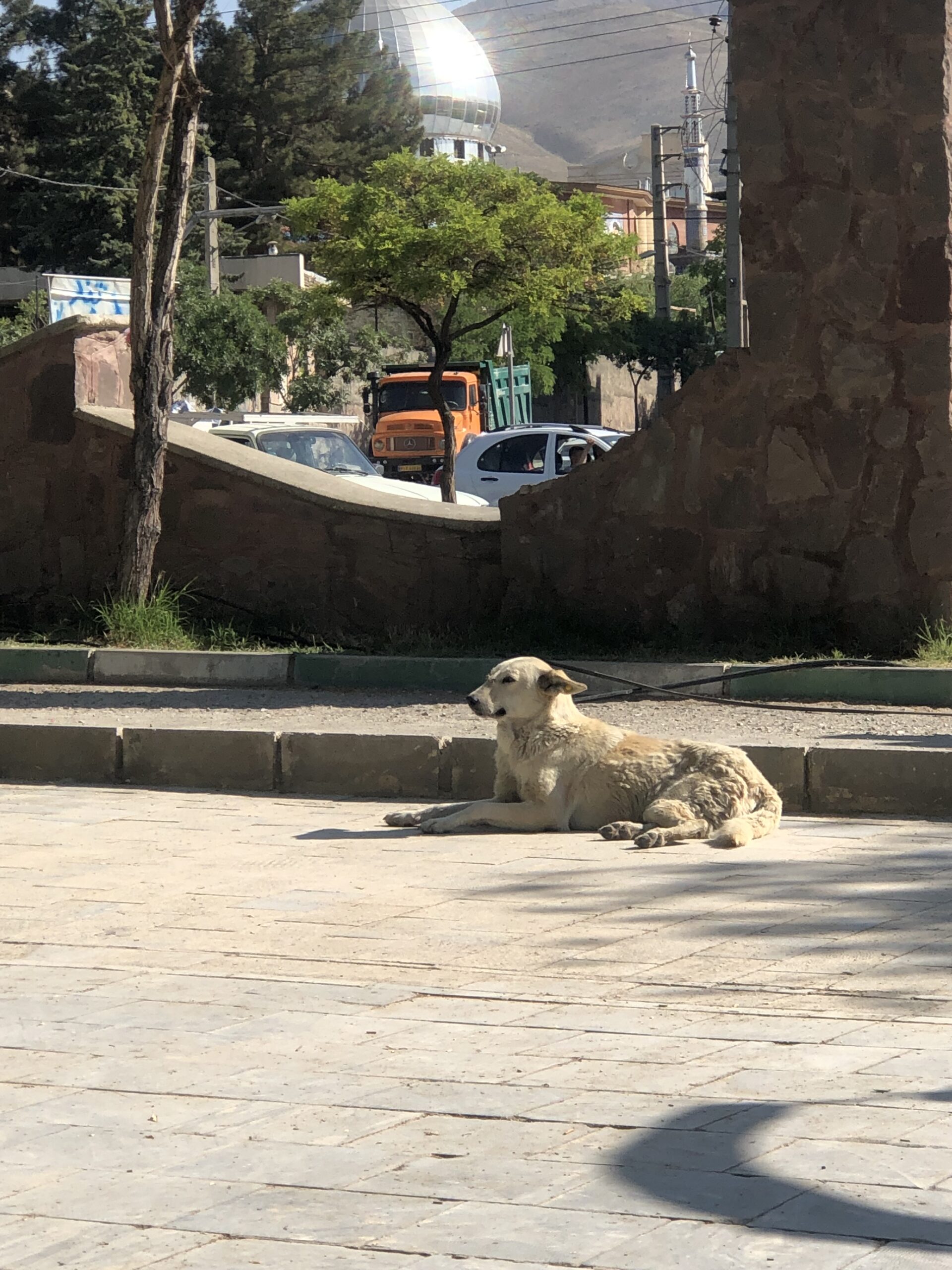 صبحانه سر راه برنجستانک
